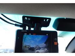 �����꡼�� �������顡�ȣģĥʥӡ��ţԣá��㳲ʪ���󥵡������ȥҡ������ܳץ�������ư�����ȡ�����롼�� 0400421A30260221W001 5