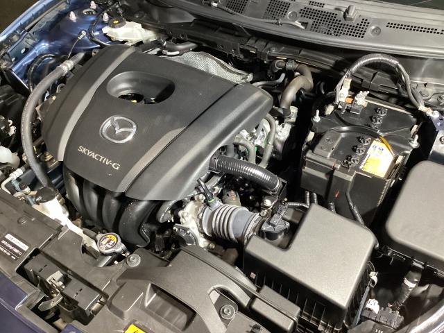 �r�j�x�`�b�s�h�u-�f���ځI�u���ȃp���[�t�B�[���ƒᒆ���̖L���ȃg���N�ɂ����p��ł̈����Ղ��𐥔�̊����ĉ������I