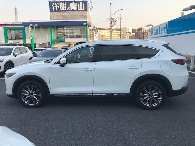 2.5 25S Lパッケージ サポカーSワイド(15枚目)