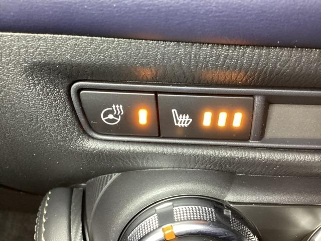 MAZDA2 1.5 15S プロアクティブ Sパッケージ 追従クルーズ 全周囲 レーンキープ LED 衝突軽減装置 Pシート ドラレコ パーキングセンサー Bluetooth接続 キーフリー DVD スマートキー フルセグ 盗難防止装置 オートライト ETC(22枚目)