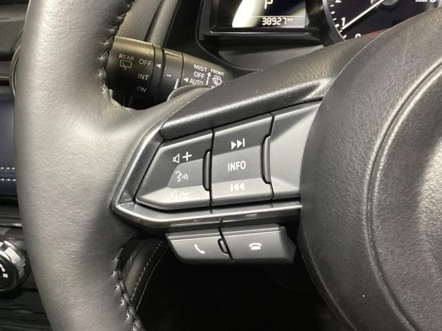 MAZDA2 1.5 15S プロアクティブ Sパッケージ 追従クルーズ 全周囲 レーンキープ LED 衝突軽減装置 Pシート ドラレコ パーキングセンサー Bluetooth接続 キーフリー DVD スマートキー フルセグ 盗難防止装置 オートライト ETC(25枚目)