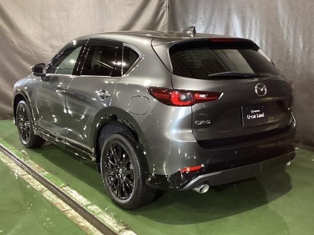 CX-5 2.2 XD スポーツ アピアランス ディーゼルターボ 360度ビュー ソナー パワーテールゲート 追従クルコン BTオーディオ LEDライト 本革シート レーンキープ パワーシート ドラレコ シートヒーター ETC ツインターボ USB オートハイビーム(37枚目)