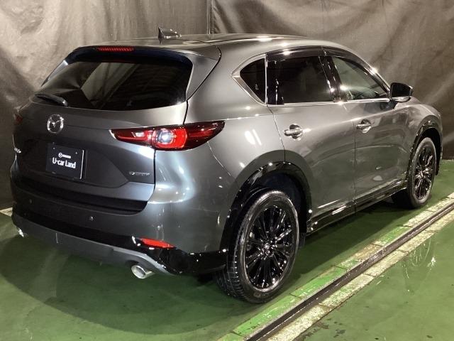 CX-5 2.2 XD スポーツ アピアランス ディーゼルターボ 360度ビュー ソナー パワーテールゲート 追従クルコン BTオーディオ LEDライト 本革シート レーンキープ パワーシート ドラレコ シートヒーター ETC ツインターボ USB オートハイビーム(38枚目)