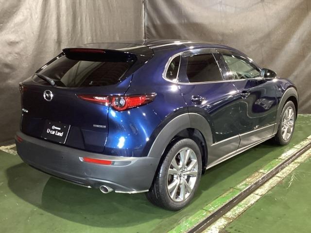 CX-30 1.8 XD プロアクティブ ツーリングセレクション ディー ターボ車 全カメラ パワステ オートハイビーム スマートキー&プッシュスタート 地デジTV メンテナンスノート ETC車載器 DVD パワーシート シートヒーター 横滑り防止機能 ABS USB(38枚目)