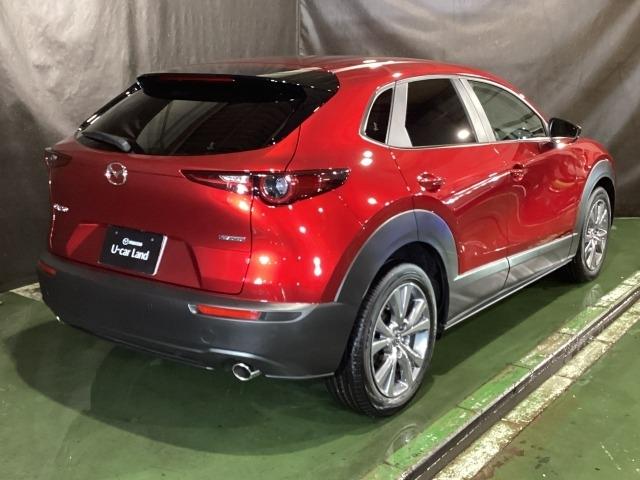 ＣＸ－３０ ２．０　２０Ｓ　ｉ　セレクション　デモＵＰ　パワーリフトゲート　ＥＴＣ　オートライト　試乗車　３６０°カメラ　ＬＥＤ　ＭＲＣＣ（38枚目）