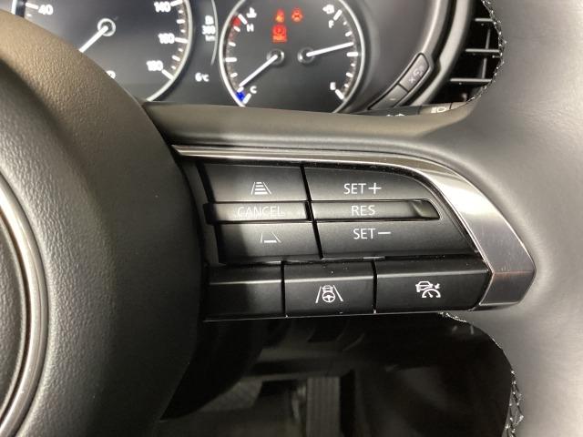 �l�q�b�b�i�}�c�_���[�_�[�N���[�Y�R���g���[���j�͐�s�ԂƂ̎ԊԂ��ێ����Ȃ���Ǐ]���s���s���A�������ł̃h���C�o�[���S���y�������Ă���܂��B