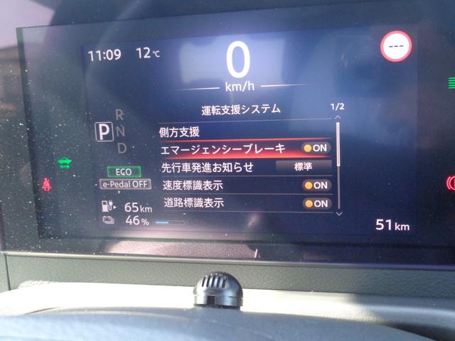 NISSAN SAKURA X