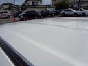 雹の為ルーフに凹みがあります。