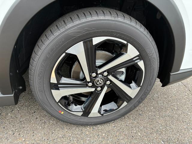 ライズ Ｚ　ハイブリッドＺ　パノラミックビューパッケージ　９インチディスプレイオーディオ　フルセグＴＶ　ブラインドスポットモニター　アクセサリーコンセントＡＣ１００Ｖ　フロアマット（19枚目）