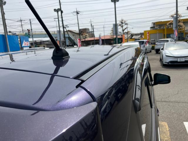 デイズ ハイウェイスター　Ｘ　プロパイロットエディション　雹凹み（68枚目）