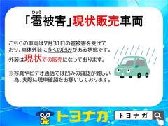 雹による凹みがありますが、その分価格がお買い求めやすくなっております。状態は担当営業までお申しつけ下さい。 3