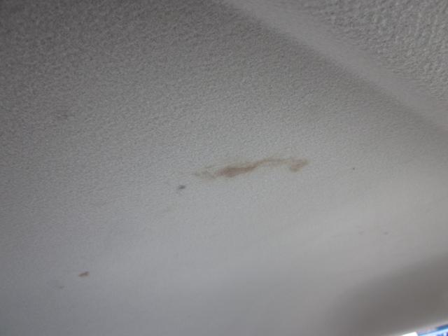 �V��̈ꕔ�ɉ��ꂪ����܂��B