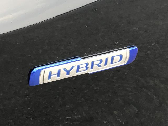 スティングレー HYBRID X(8枚目)