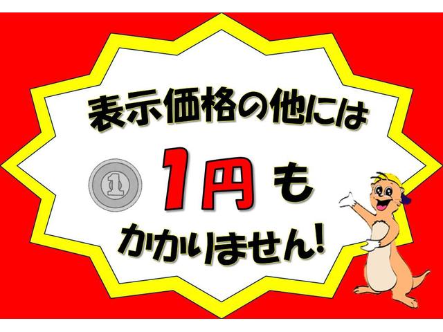 TS 社外SDナビTV 両側パワースライドドア ターボ付(2枚目)