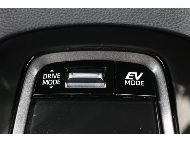 カローラツーリング ハイブリッド　ダブルバイビー（13枚目）