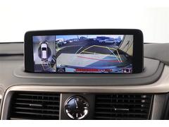 �������ϥ���颣�Хå������Ϥ�����󡢿��夫��ߤƤ���褦�ʱ�����ɽ������ޤ����㳲ʪ�ʤɤ⸫�䤹���ʤꡢ�����᤯�㳲ʪ��ǧ���Ǥ���褦�ˤʤ�ޤ��� 7