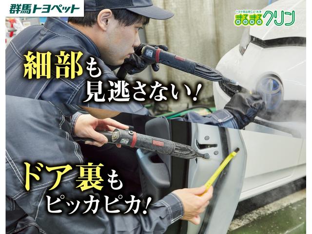 プレミアム　衝突被害軽減ブレーキ　ＢＳＭ　レーダークルーズ　地デジＴＶ　全周囲カメラ　クリアランスソナー　車線逸脱警報　オートハイビーム　ＥＴＣ２．０　デジタルミラー　本革　シートヒーター　両側電動ドア　パワーバックドア　ＬＥＤライト　横滑り防止装置(66枚目)