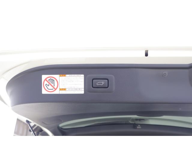 アルファード 2.5S タイプゴールド 衝突被害軽減ブレーキ 9型DAナビ 地デジTV バックカメラ BSM レーダークルーズ オートハイビーム 車線逸脱警報 クリアランスソナー 両側電動ドア ETC2.0 デジタルミラー 前後ドラレコ パワーバックドア 3眼LEDライト(49枚目)