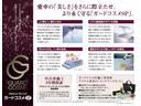B�ѥå� ���饹�����ƥ��󥰡������ɥ����ᡡ�ʣӡ�