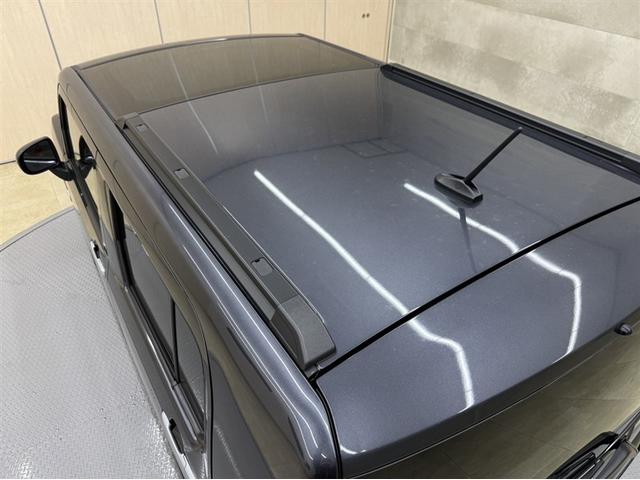 屋根の状態もしっかり確認出来ます。