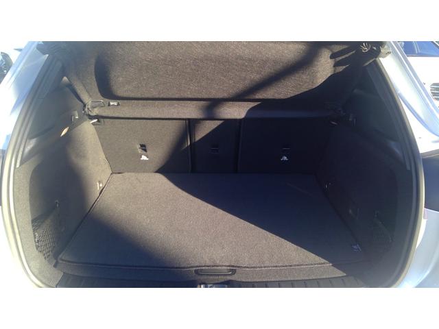 ＥＱＡ ＥＱＡ２５０＋　ＡＭＧラインパッケージ　ワンオーナー　ＡＭＧラインパッケージ　ＡＭＧスタイリングパッケージ　ＡＭＧ２０インチアルミ　ハーフレザーシート　シートヒーター　３６０°カメラ　オートトランク　アンビエンテライト（24枚目）