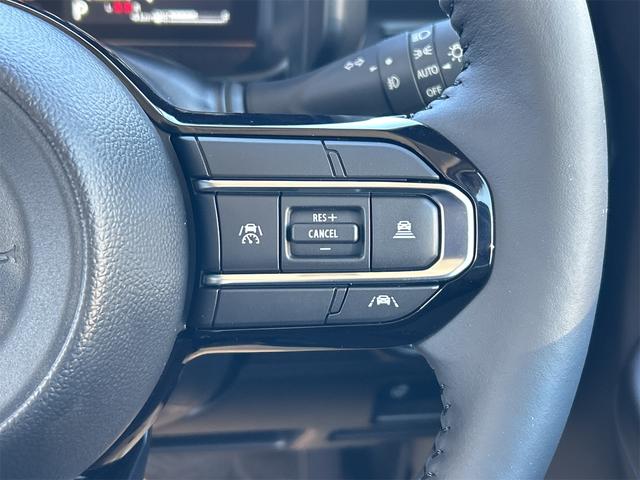 スペーシアカスタム ハイブリッドＸＳ　全周囲カメラ　両側電動スライドドア　ナビ　ＴＶ　クリアランスソナー　オートクルーズコントロール　レーンアシスト　衝突被害軽減システム　オートライト　ＬＥＤヘッドランプ　スマートキー（46枚目）