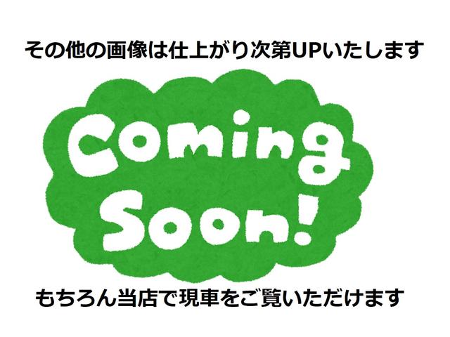 アルトラパン Ｇ　タイミングチェーン　ＡＢＳ　エアバッグ　プッシュスタート　スマートキー（19枚目）