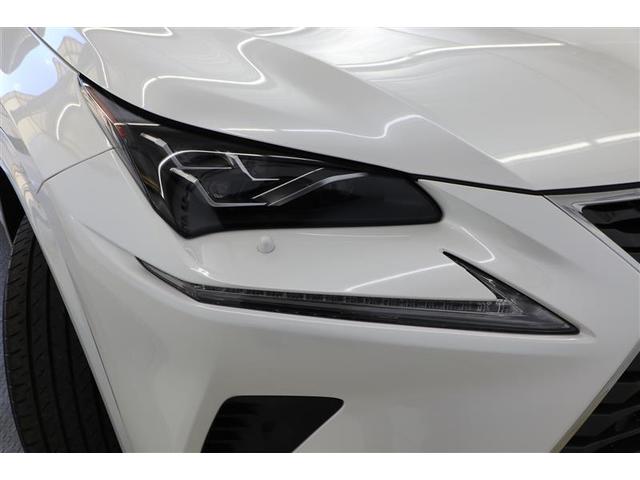 NX NX300 スパイス&シック(22枚目)