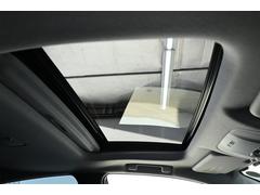 �ץꥦ�� �� 0400832A20260116T005 5