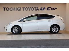 �ץꥦ�� �ӥġ���󥰥��쥯����� 0400832A20260124T006 2