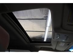 ���ɥ��롼���� �ڣء��֥롼�Υ����� 0400832A20260127T003 5