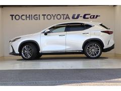 �Σ� �Σأ������衡�С������̡����ףġ����꡼�ʥӡ��ţԣ� 0400832A20260201T005 2