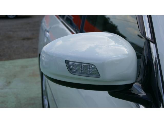 ガリューIII （7枚目）