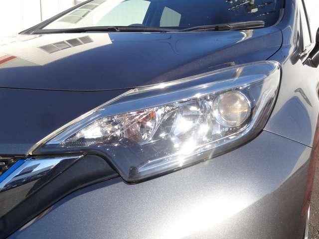 ���n���Q���w�b�h���C�g���Â��铹�����S�h���C�u�o���܂�