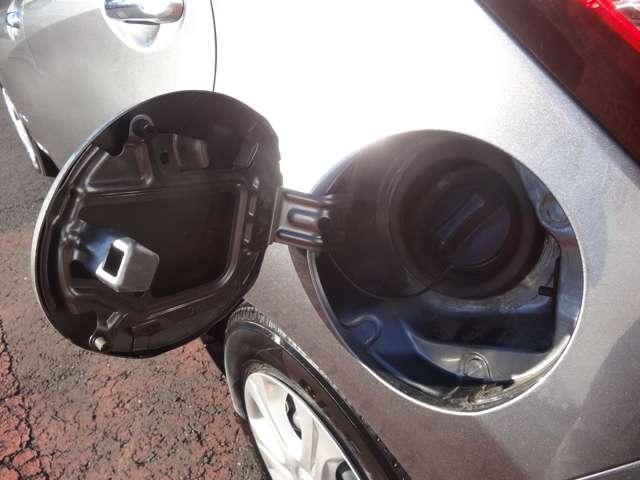 �������ł���