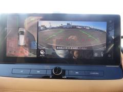 ���饦��ɥӥ塼��˥����ϼ�ξ�ξ�����鸫�������褦�ʱ����������������Τǡ��ָ����줬�ڤˤʤ�ޤ��� 4