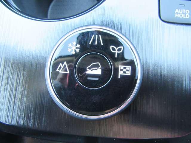 エクストレイル G e-4ORCE ガラスルーフ ナッパレザーシート USBポート 地デジTV 100V ルーフレール 試乗車 パークアシスト 横滑り防止装置 禁煙 シートヒーター オートハイビーム 寒冷地仕様 ナビTV LKA ETC(18枚目)