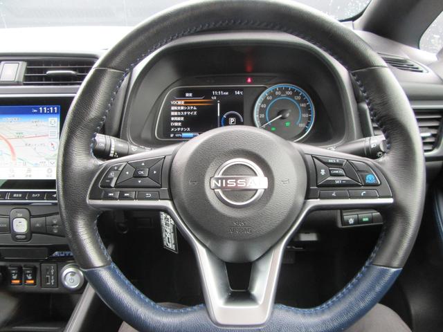 リーフ オーテック(15枚目)