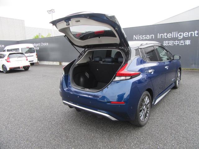 リーフ オーテック(27枚目)