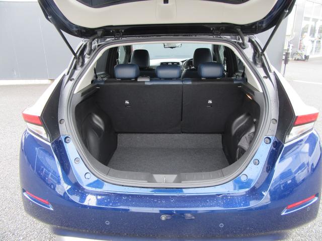 リーフ オーテック(28枚目)