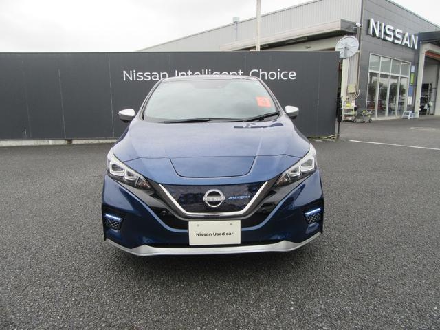 リーフ オーテック(29枚目)