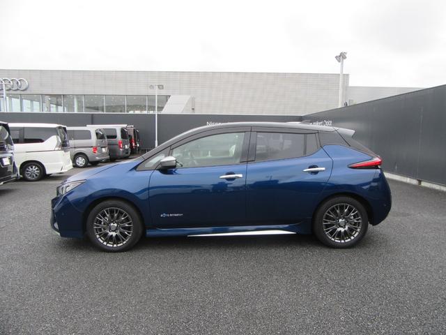 リーフ オーテック(31枚目)