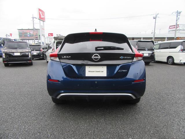 リーフ オーテック(33枚目)