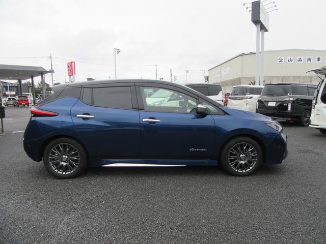 リーフ オーテック(35枚目)