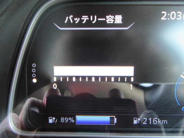 リーフ Ｘ　Ｖセレクション（33枚目）