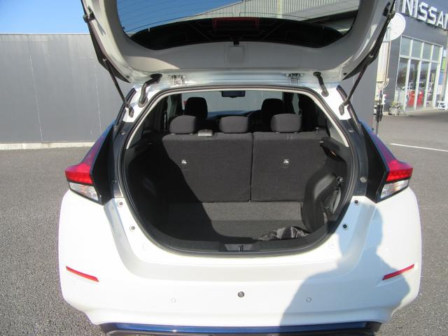 リーフ Ｘ　Ｖセレクション（35枚目）