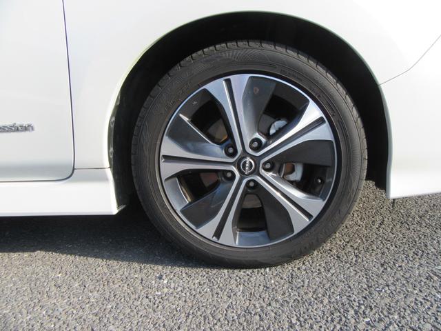 リーフ Ｘ　Ｖセレクション（36枚目）