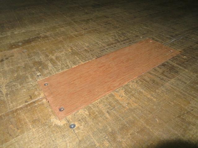 フォワード (48枚目)