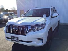 ���ɥ��롼�����ץ�� �ԣء����ޡ��ȥ��ݡ����롼���á������ɥ����Хå��������ɻ����� 0400975A30260130W002 2