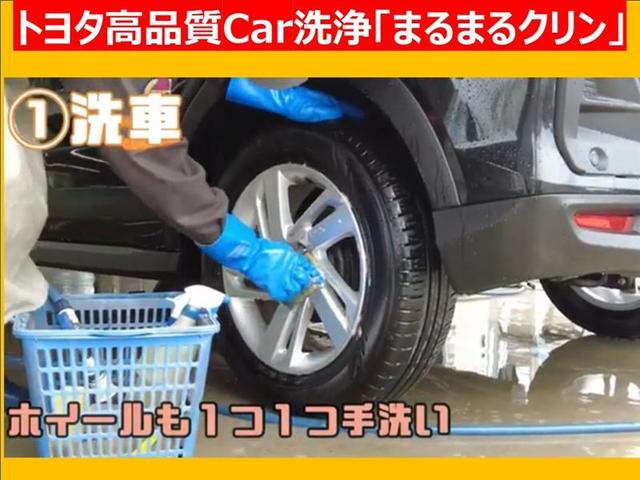 アエラス フルセグ メモリーナビ DVD再生 後席モニター バックカメラ ETC ドラレコ 両側電動スライド HIDヘッドライト ウオークスルー 乗車定員8人 3列シート 横滑り防止 クルーズC オートライト(31枚目)